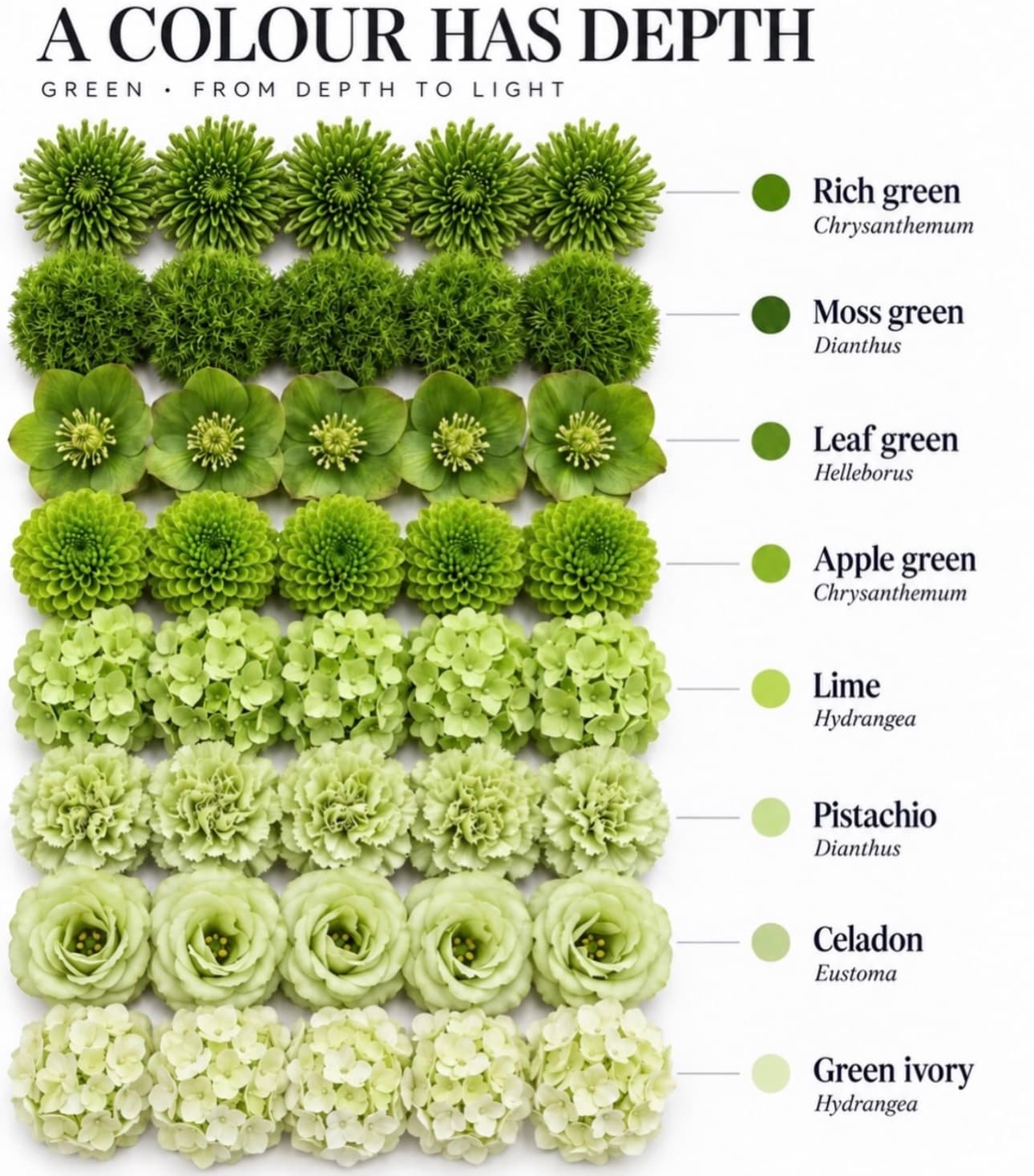 Green flower color range — Depth to light — Day Dream Affairs color guide
